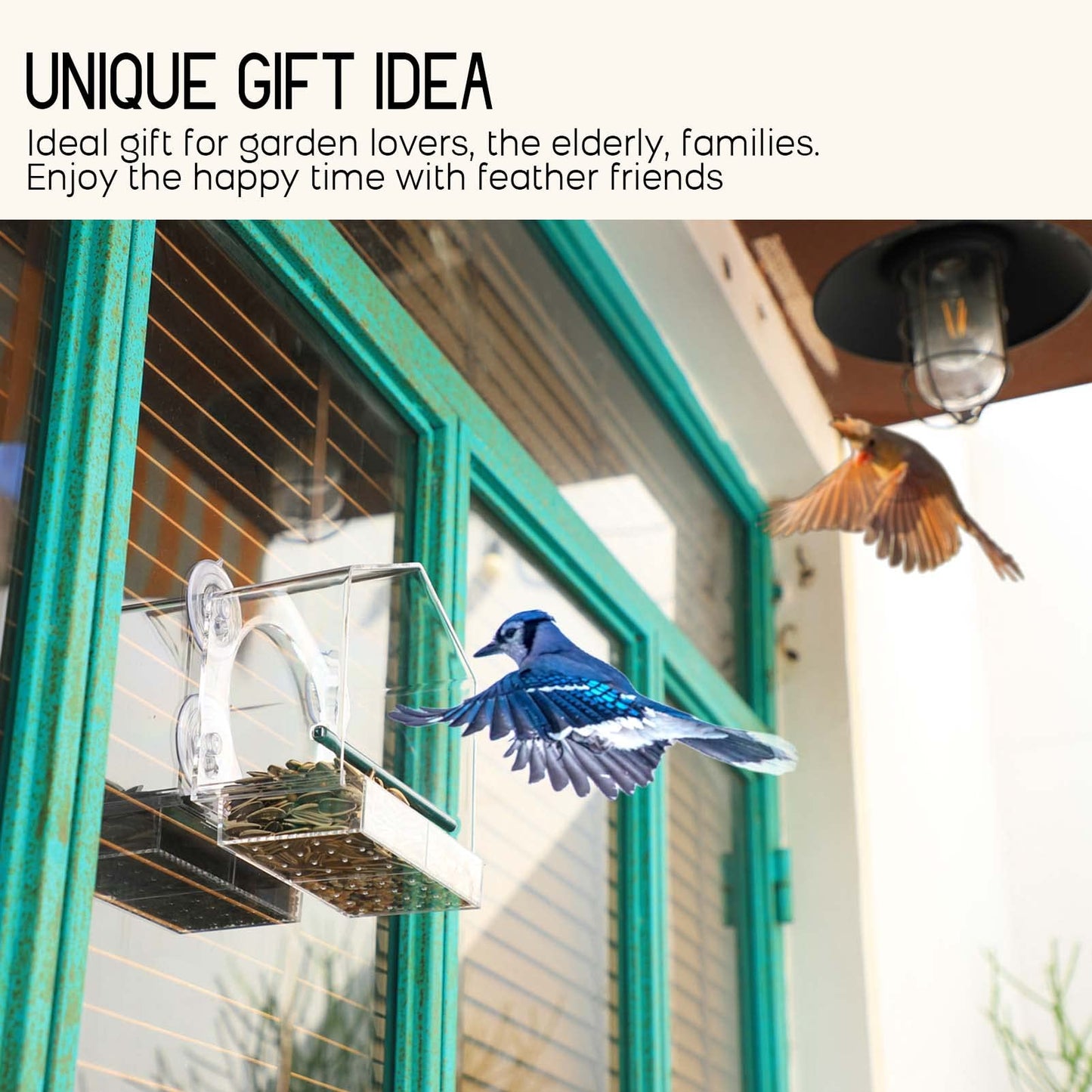 🔥Mother's Day Early Sale-[SAVE 45% OFF]-Window Bird Feeder for Outside