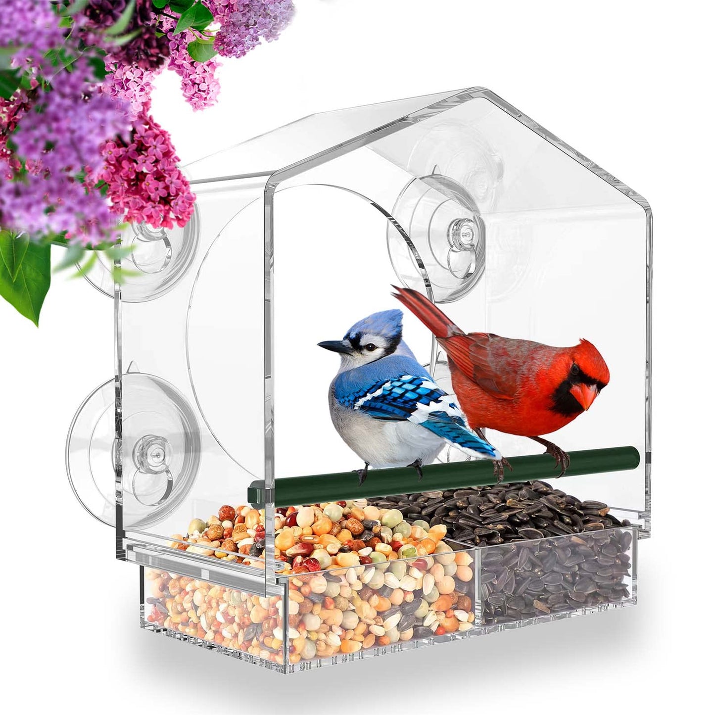🔥Mother's Day Early Sale-[SAVE 45% OFF]-Window Bird Feeder for Outside